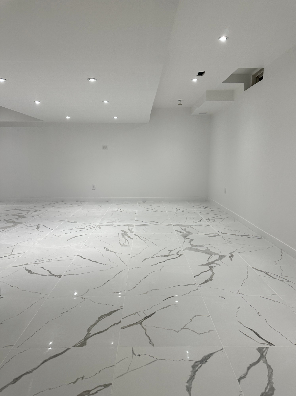 Basement Renovation